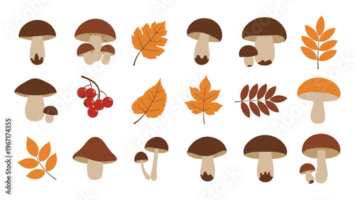Large collection of diverse autumn mushrooms and colorful fall leaves designed in a clean and modern flat illustration style for seasonal projects.
