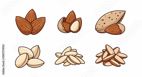 Six different artistic depictions of almonds presented on white background
