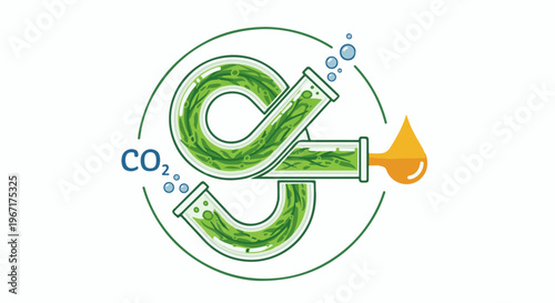 Algae processing converting CO2 into green liquid fuel in laboratory tubes