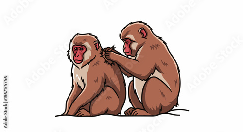 Two brown monkeys with red faces sitting and grooming each other
