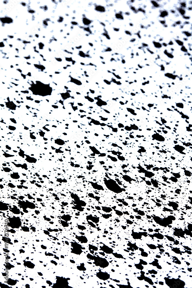 Fototapeta premium Close up of black ink paint splatters on a white background