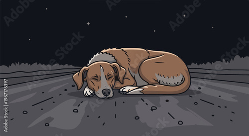 A dog sleeps peacefully under a starry night sky on a road