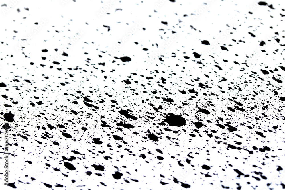Fototapeta premium Close up of black ink paint splatters on a white background