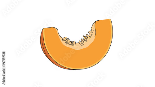 Simple hand-drawn illustration of a fresh orange cantaloupe melon slice with many visible seeds on a white background.