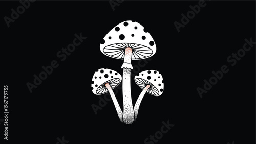 Detailed black and white stippling illustration of three spotted mushrooms growing together against a solid black background.