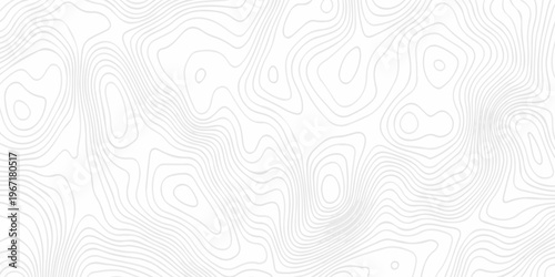Contour abstract map relief land outline. Topographic map patterns. White wave paper curved reliefs abstract background. Background of the topography map. Abstract pattern with lines.