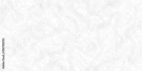 Contour abstract map relief land outline. Topographic map patterns. White wave paper curved reliefs abstract background. Background of the topography map. Abstract pattern with lines.