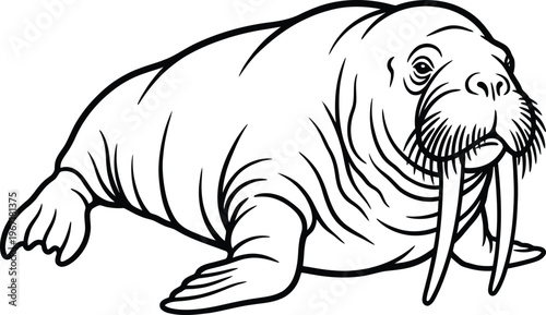Walrus Marine Animal Silhouette with Thick Outlines, Minimalist Vector Design