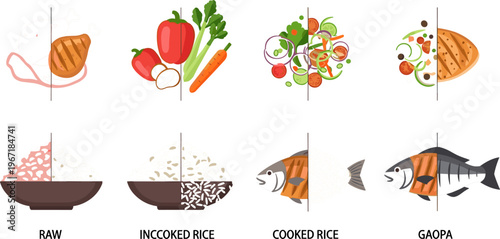 Food Preparation Process Illustration Featuring Raw Ingredients, Vegetables, Rice Cooking Stages and Grilled Fish Step by Step Culinary Vector Set
