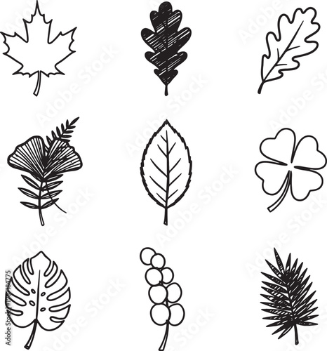 set of hand drawn leaves and plants