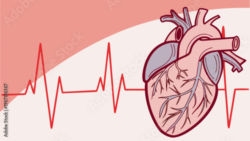 Medical heart illustration with ECG line, cardiology healthcare concept.