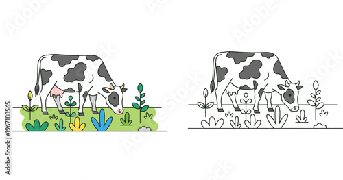 Cow Grazing in Field Meadow Illustration Set: Full Color and Line Art Outline Versions for Coloring Book, Farm Animal in Nature Pasture with Grass and Plants, Vector Design.