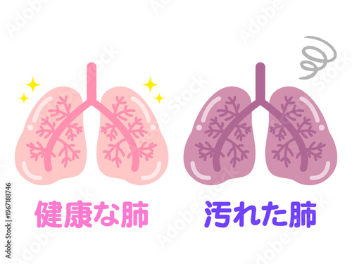 	健康な肺と汚れた肺のイラスト素材