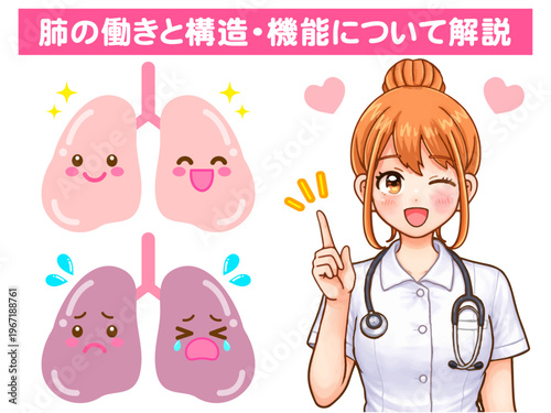 肺の説明をする看護師の女性のアニメ系図解イラスト素材2