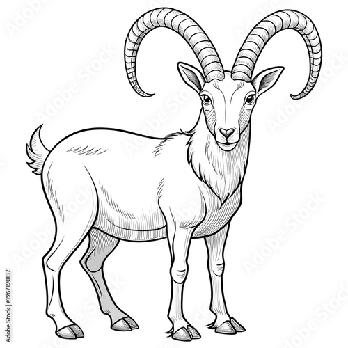 nubian ibex animal isolated coloring page for kids