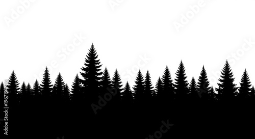 Seamless Pine Tree Forest Silhouette on White Background