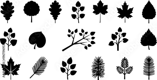 A vector illustration featuring a diverse icon set of leaves and tree branches. Simple, clean line art showcases black silhouettes and green organic foliage, isolated for an eco-friendly design. – Bla