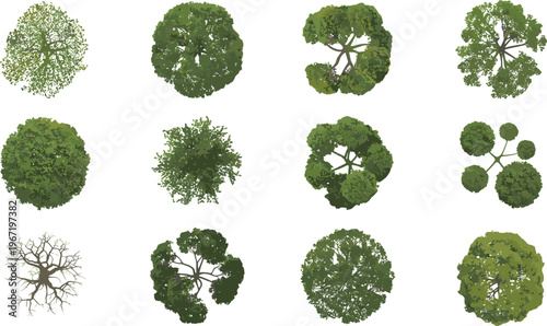 Top view realistic trees set, aerial canopy foliage variations with detailed textures, natural landscape elements collection, isolated vector illustration for map, park and design use