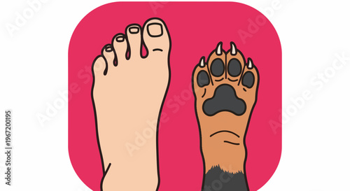 A human foot and a dog paw are side by side on a pink background
