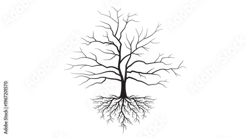 Tree silhouette with intricate exposed roots on a clean white background, representing life and foundation