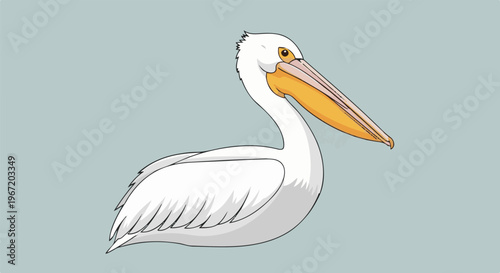 White pelican with a large beak and yellow accents against a pale blue background
