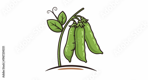 Cartoon illustration of a pea pod plant with three pods and leaves