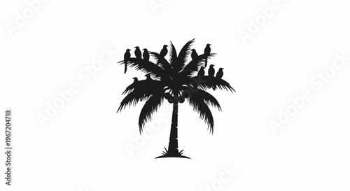 Silhouette of a palm tree with many birds perched on its fronds