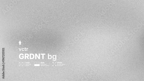 Abstract black and white vector background with high detailed noise texture and blurred gradient effect. Modern grayscale silver grainy overlay for industrial or brutalist design concepts.