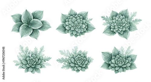 Set of delicate watercolor illustrations of succulent plants and green leaves in a monochrome palette, perfect for botanical designs and natural themes