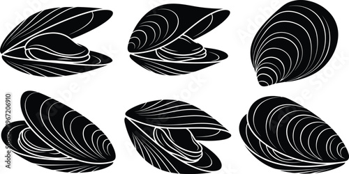 Set of silhouettes of different types of seashells including mussels, scallops, and snails, creating a nature and marine life concept