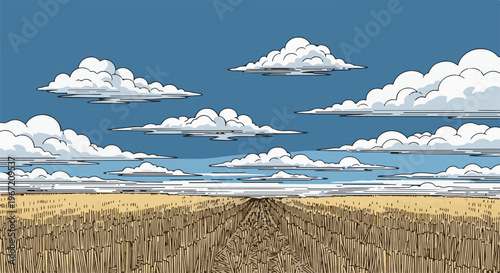 Open field with a path leading through harvested crops under a cloudy sky