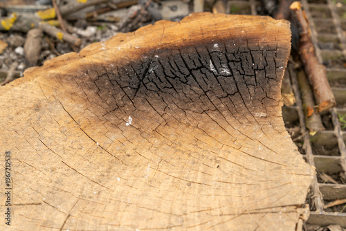 Burnt wooden surface with cracked texture and charred black area on cut tree trunk. Macro photography of natural wood grain background. Fire damage and material texture concept for design.