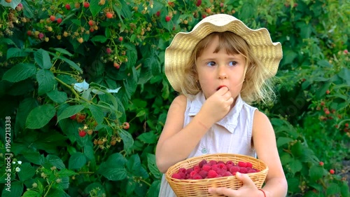 A child with a raspberry harvest in the garden. Selective focus. food.