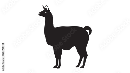 Llama silhouette with black fur and a fluffy tail standing profile on a white background, simple and clean design.