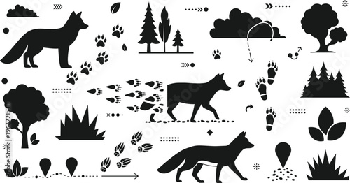 Fox tracking and wildlife footprints icons set with animal trails paw prints forest nature and outdoor tracking illustration