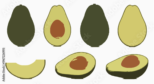 Realistic avocado vector illustration whole and cut fruit EPS10 isolated on white