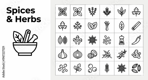 Professional spices and herbs icon set featuring mortar and pestle, cinnamon, basil, rosemary, mint, garlic, star anise, and various culinary seasonings in a clean linear outline style for cooking and