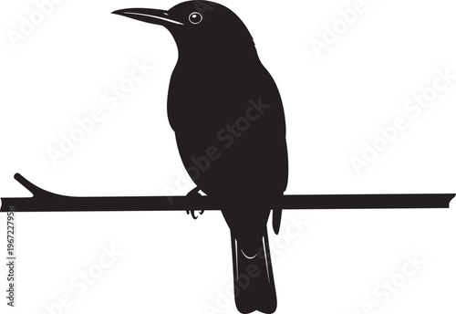 Bird on branch silhouette, flat vector illustration of crow or raven sitting on wood, nature wildlife element, and avian animal