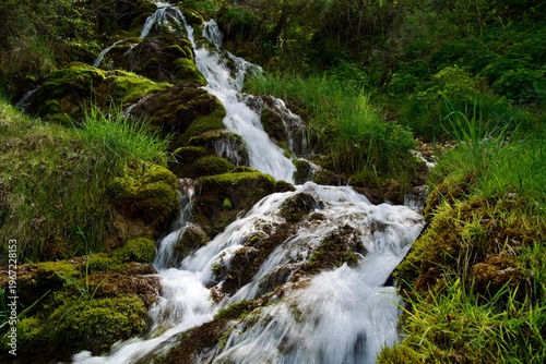 Lush mossy cascade in green forest with flowing water