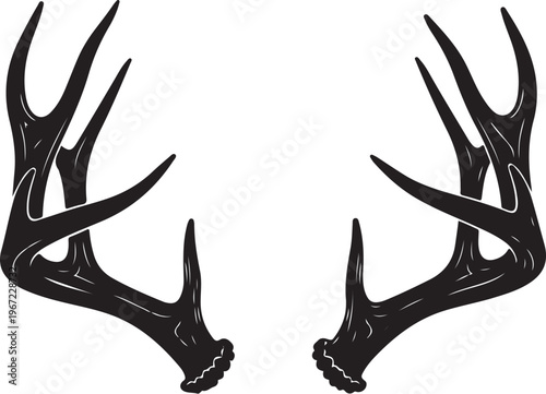 Black silhouette of a pair of deer antlers white background