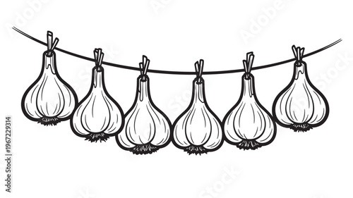 Garlic bulbs hanging from a string in a simplified line art illustration against a white background.