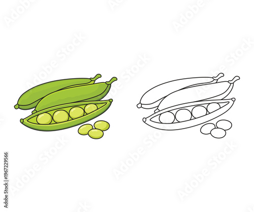 Cute Green Peas Coloring Page and Colored Version Vegetable Illustration