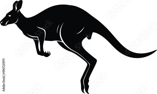 Black Silhouette Vector Illustration of a Jumping Kangaroo Isolated on White Background Featuring Powerful Leg Muscles and Tail for Australian Wildlife and Nature Design