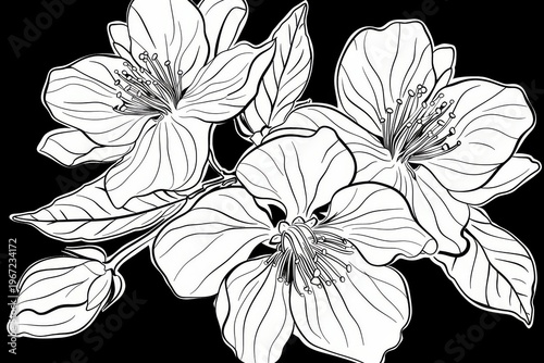Cherry blossom tattoo line art coloring page simple vector floral outline black white minimal design