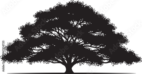 Black silhouette of a tree with a thick trunk and sprawling branches