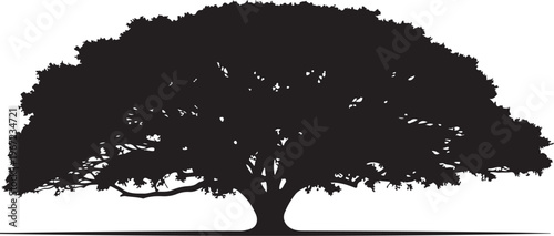 Black silhouette of a tree with a thick trunk and sprawling branches against a white background