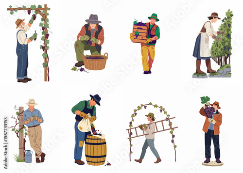 Set of diverse vineyard workers harvesting purple grapes, including scenes of picking, carrying crates, and winemaking processes, isolated on a white background.