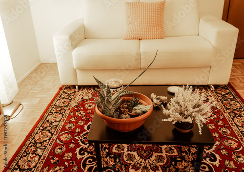 the interior of a psychologist’s practice, decorated in warm colours and characterised by a classic, elegant atmosphere, with plants and a comfortable white sofa 