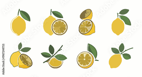 Stylized retro lemon line icon vector set EPS10 isolated on white