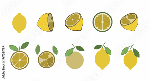 Minimal retro lemon vector line icon set EPS10 isolated on white